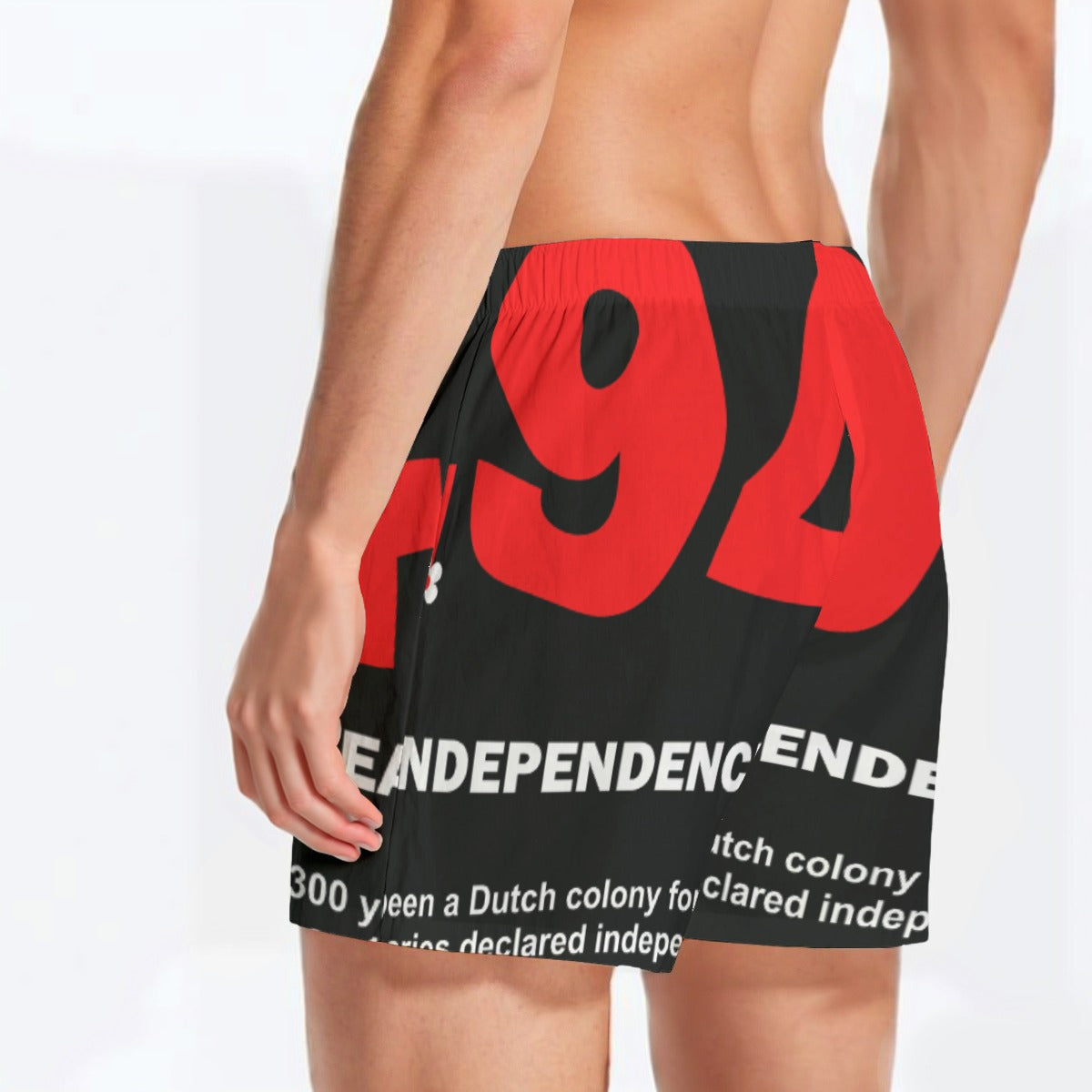 Vintage Freedom Shorts image 2